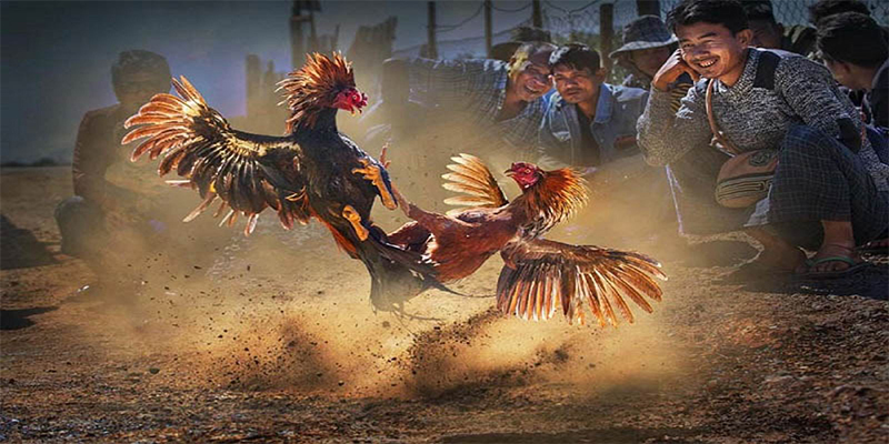 good888 xổ số bữa nay