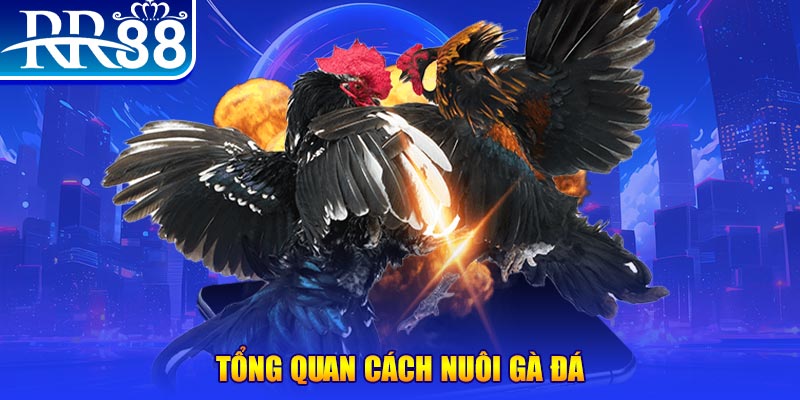good888 game nổ hũ rút tiền mặt là gì