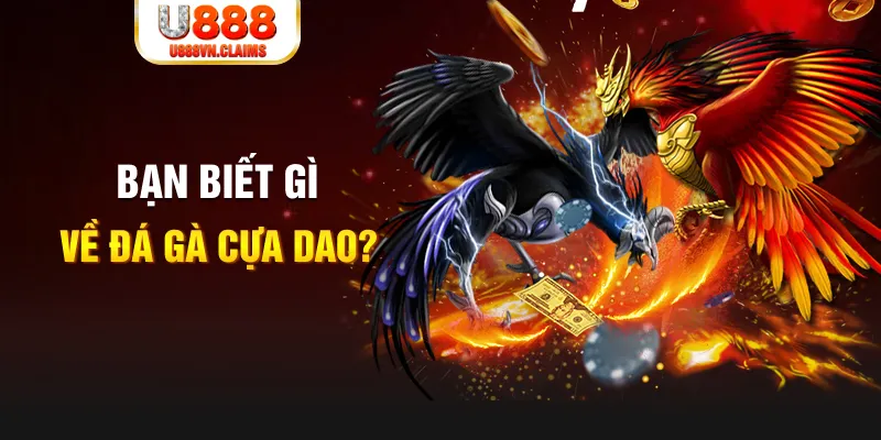 good888 SW Xổ Số