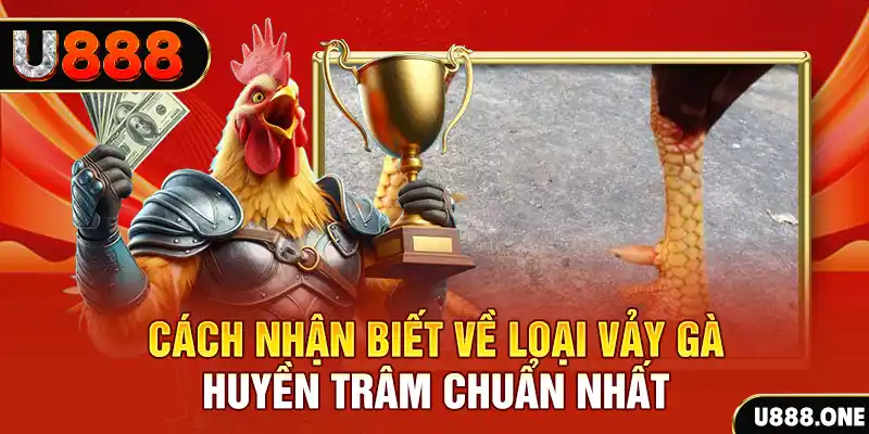 good888 đăng nhập nổ hũ số 1
