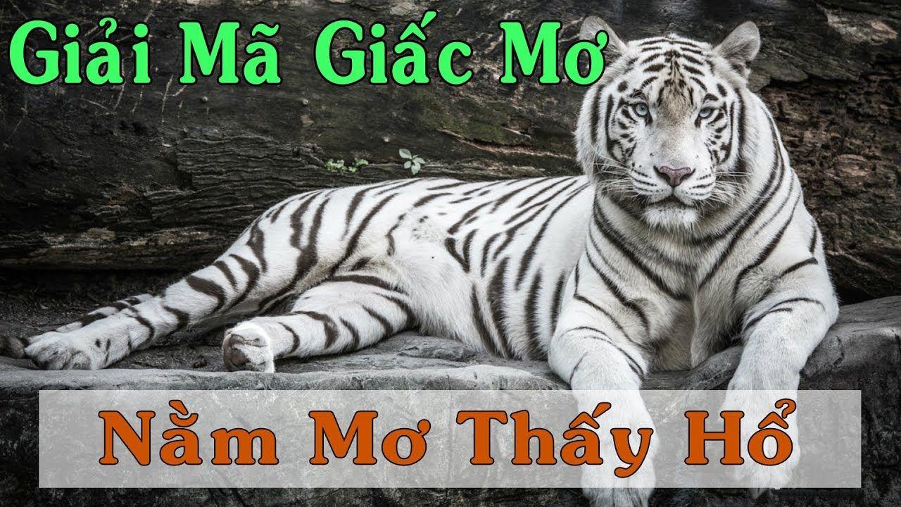 good888 nổ hũ là game gì