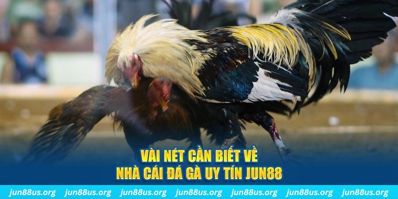 good888 đăng nhập phỏm khuyến mãi