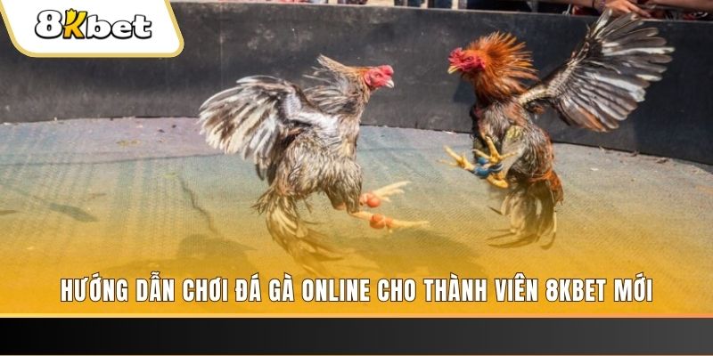 good888 JILI Game Bài 3d