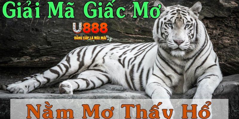 good888 xổ số miền bắc xổ số miền bắc