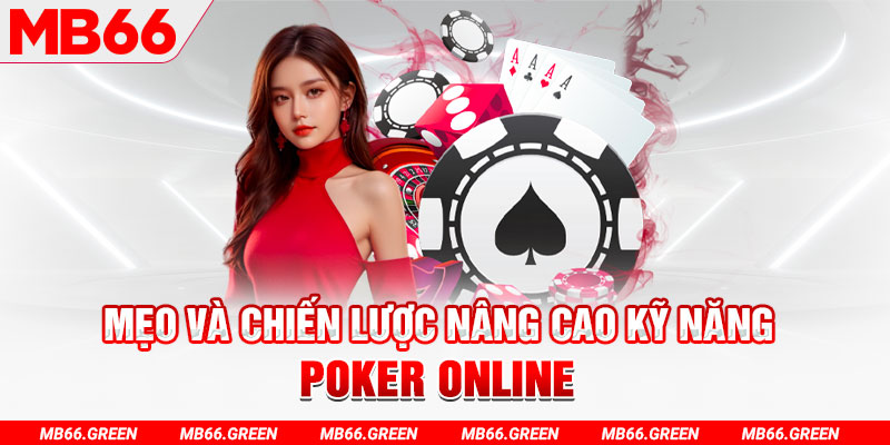 good888 chổi lông gà