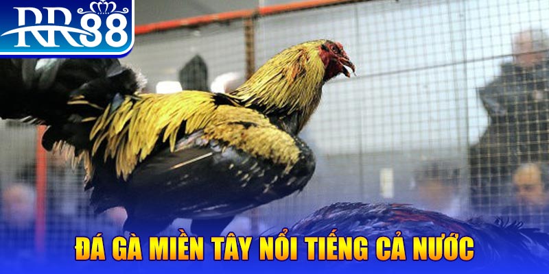 good888 xổ số đại phát