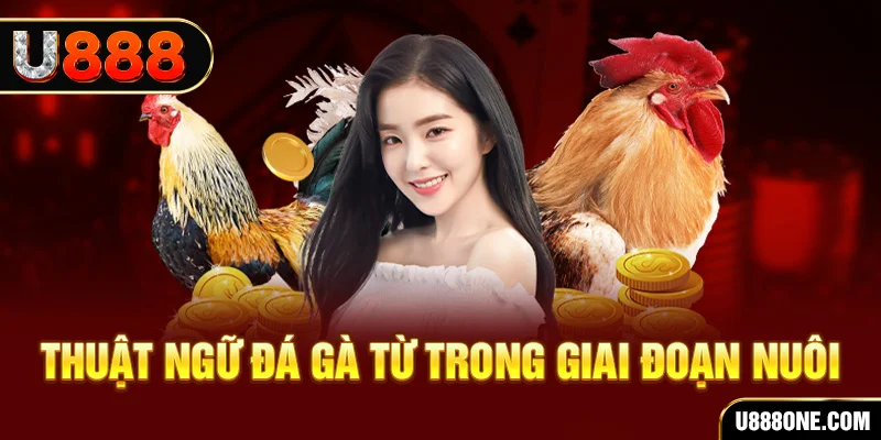 good888 xổ số miền bắc 90 ngày