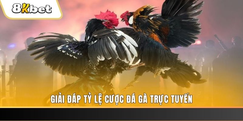 good888 ga choi cau thanh