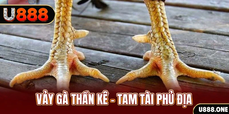 good888 xổ số miền trung thứ hai hàng tuần