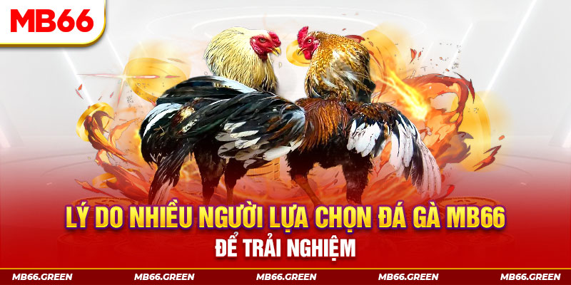 good888 đăng nhập liêng trực tiếp