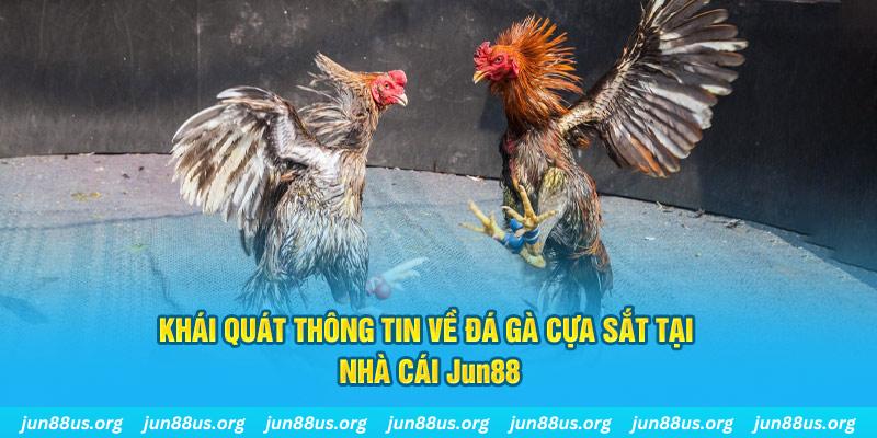 good888 xổ số miền bắc thứ bảy hàng tuần