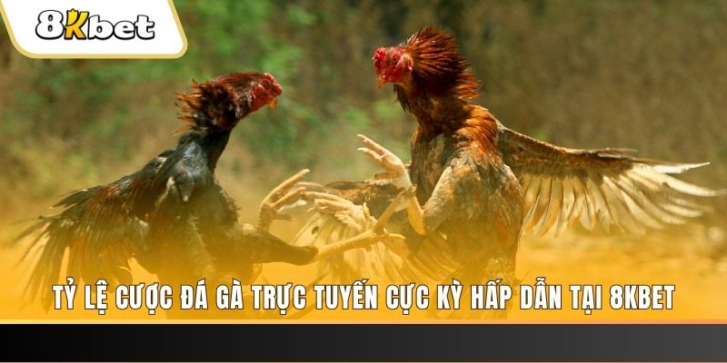 good888 đăng nhập mậu binh online