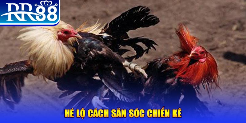 good888 xổ số miền trung thứ tư