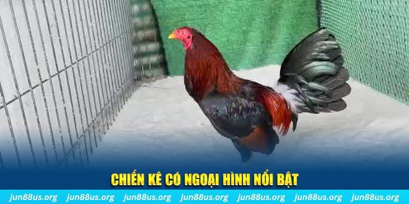 good888 game bắn cá