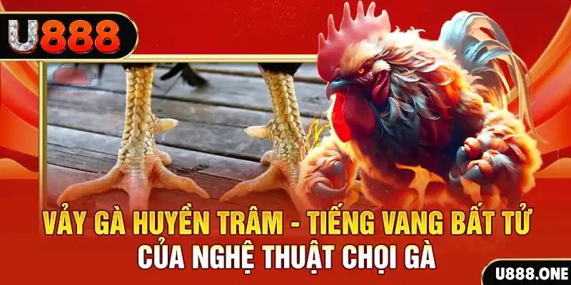good888 đăng nhập roulette trực tuyến