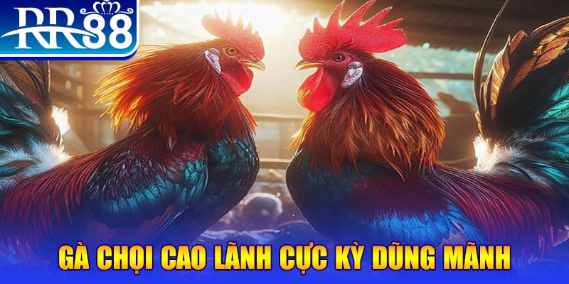 good888 HB Điện Tử