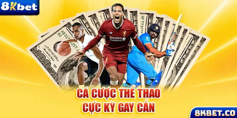 good888 xem đá gà trực tiếp